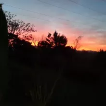 nuit antre des vices